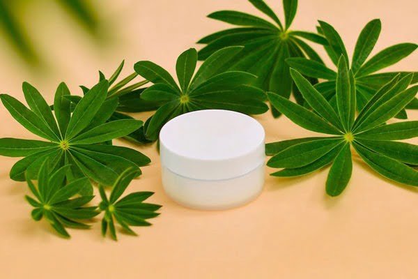 plastic-face-cream-jar-003 cosmetic face cream jars